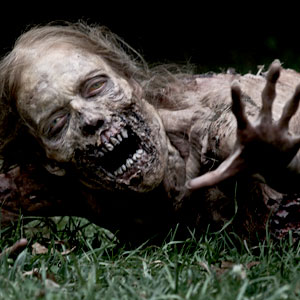 The Walking Dead The Walking Dead